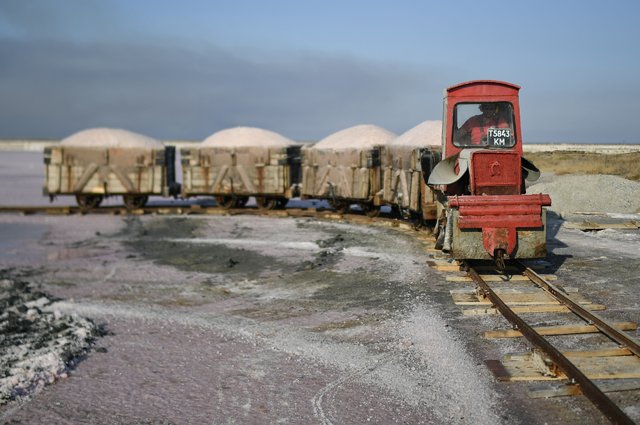 Добыча розовой соли на озере Сасык-Сиваш под Евпаторией.