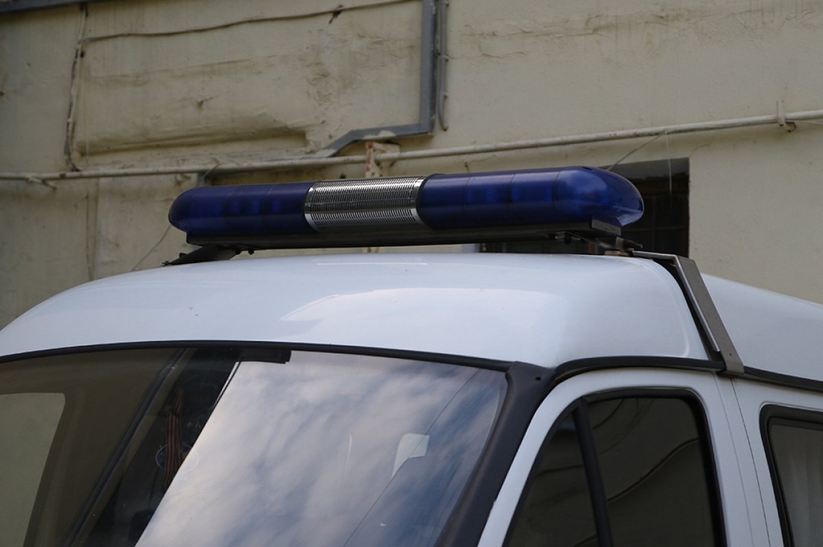 В Екатеринбурге разыскивают поджигателей машин с буквами Z