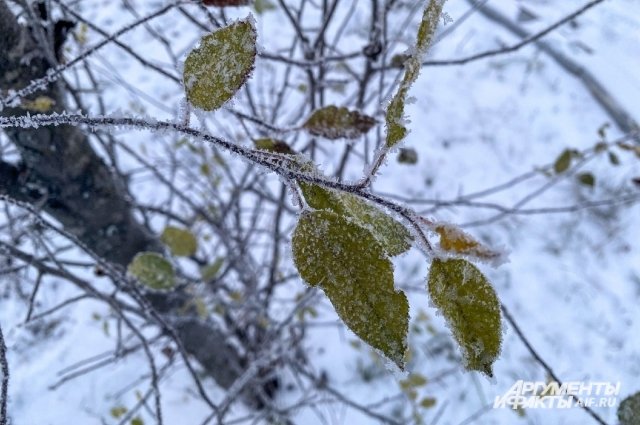 В Оренбуржье ожидаются морозы и ветер