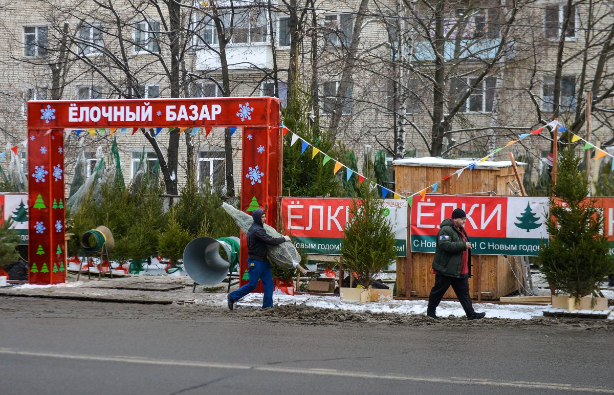 В Пскове в этом году откроется больше елочных базаров | АиФ Псков