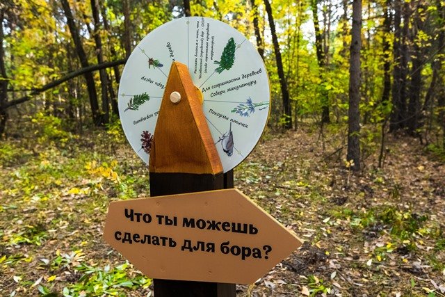 В Челябинске существует мода на волонтерство в сфере экологии