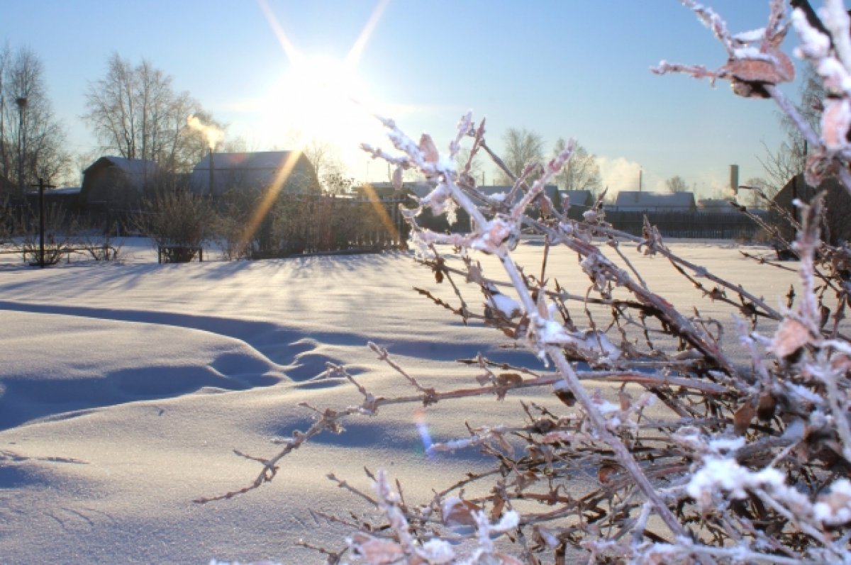 Штормовое предупреждение из-за экстремальных морозов объявили на Алтае