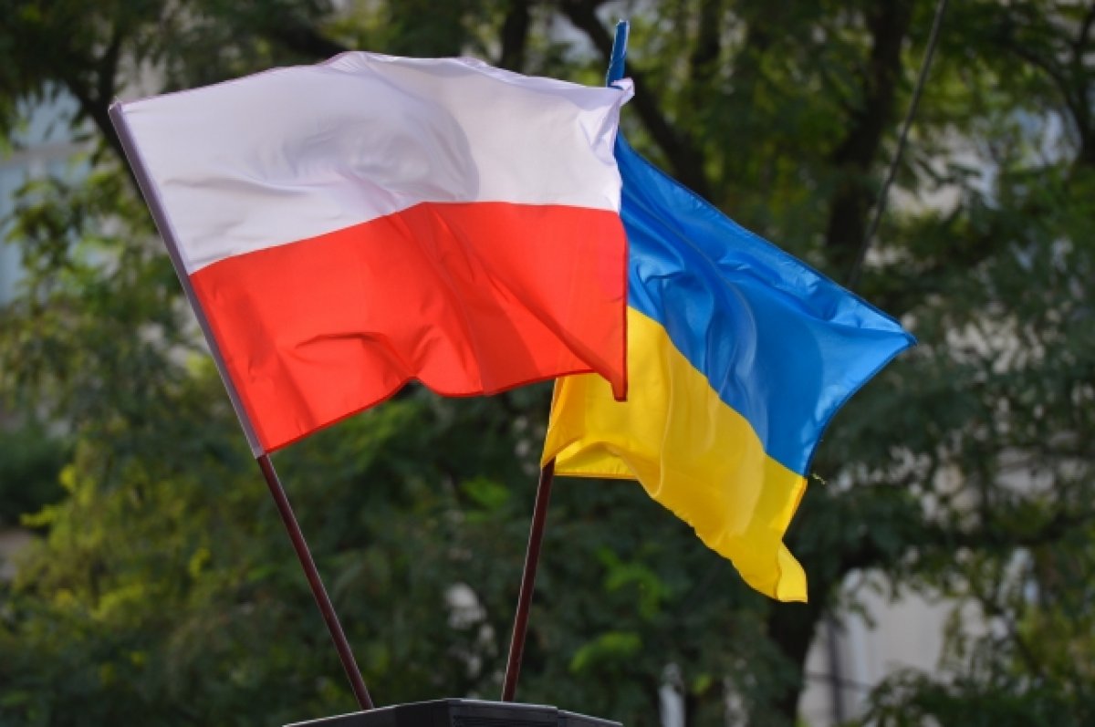 В Польше обвинили Украину во лжи о выплаченном долге за военную помощь
