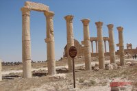 В Казани на форуме ЮНЕСКО обсудят вопрос восстановления древного сирийского города Пальмира. 