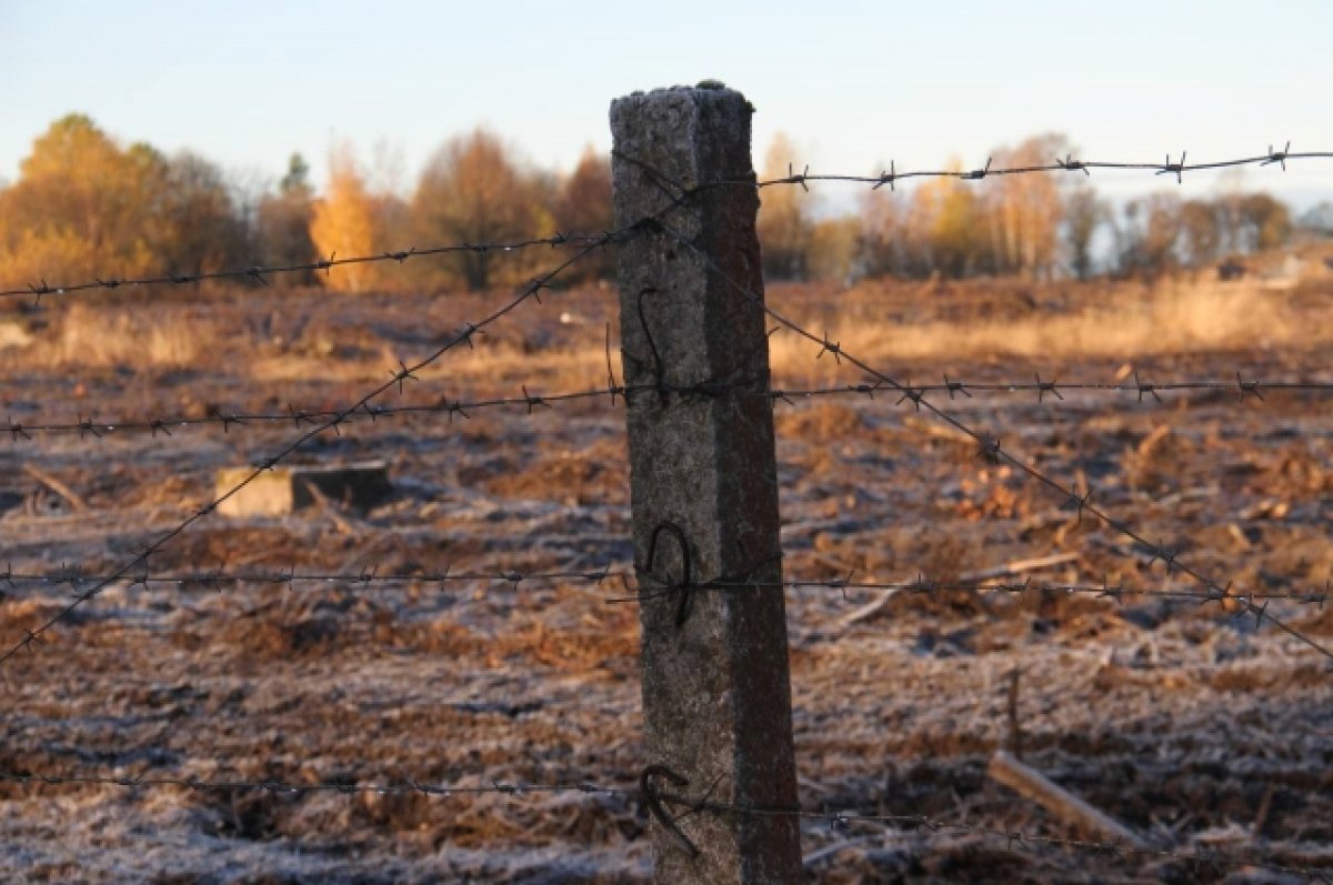 В Ростовской области мужчина до смерти избил возлюбленную палкой и ремнём