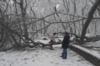 Власти Пятигорска временно запретили гулять по Машуку из-за падающих деревьев. 