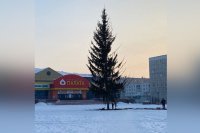 Такую елку установили к Новому году в Заринске.