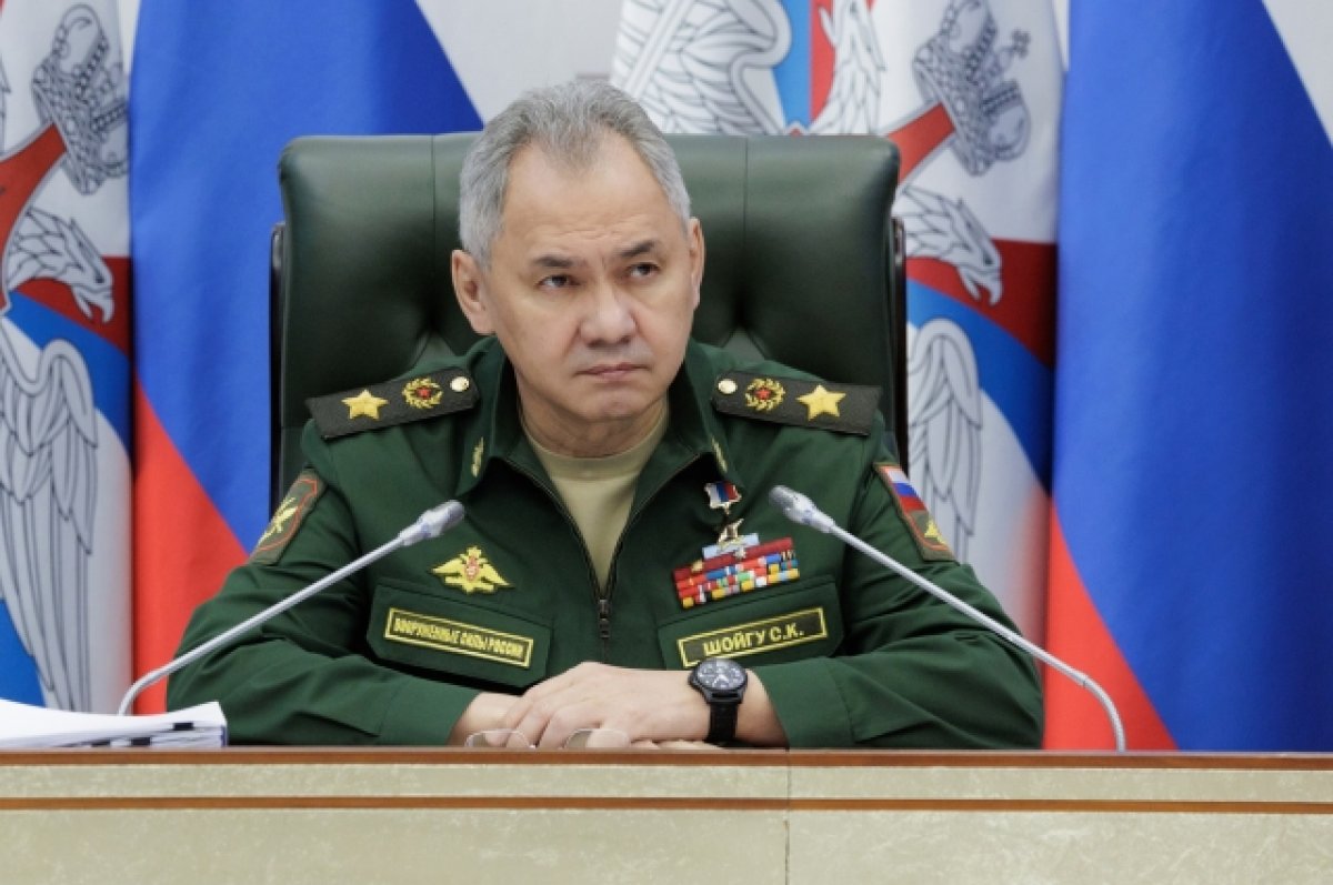 Шойгу: РФ продолжит поставки вооружения и военной техники Таджикистану