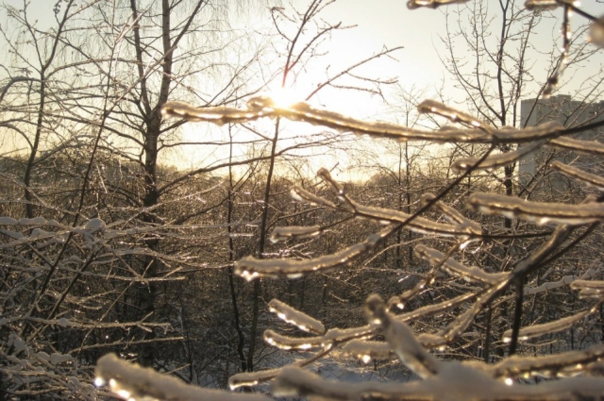 В Ростове-на-Дону синоптики прогнозируют ледяной дождь и снег