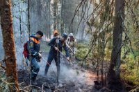 Технику будут использовать при тушении лесных пожаров