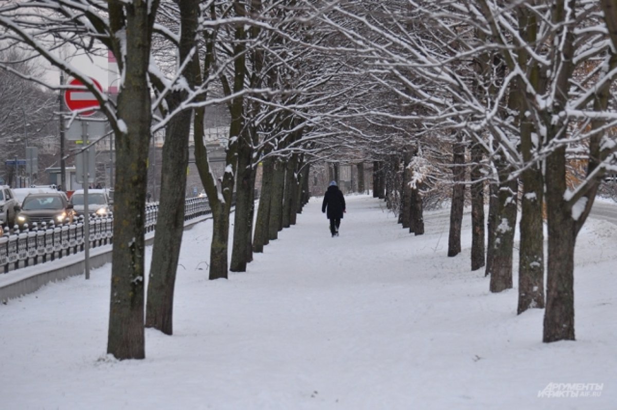 В Москве и Подмосковье объявили желтый уровень опасности из-за снега
