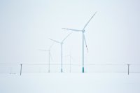 Ветровые генераторы, на которые делают основную ставку сторонники «зелёной» энергетики, вырабатывают слишком мало энергии, слишком сильно зависят от погоды, да ещё и наносят вред природе, убивая своими лопастями птиц. Ветряная электростанция в поселке Цыганка в Польше. 