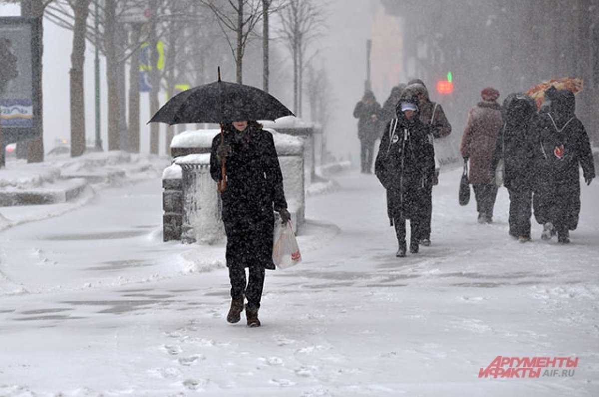 Климатолог Семенов считает, что через 40 лет зимы в Москве будут теплыми