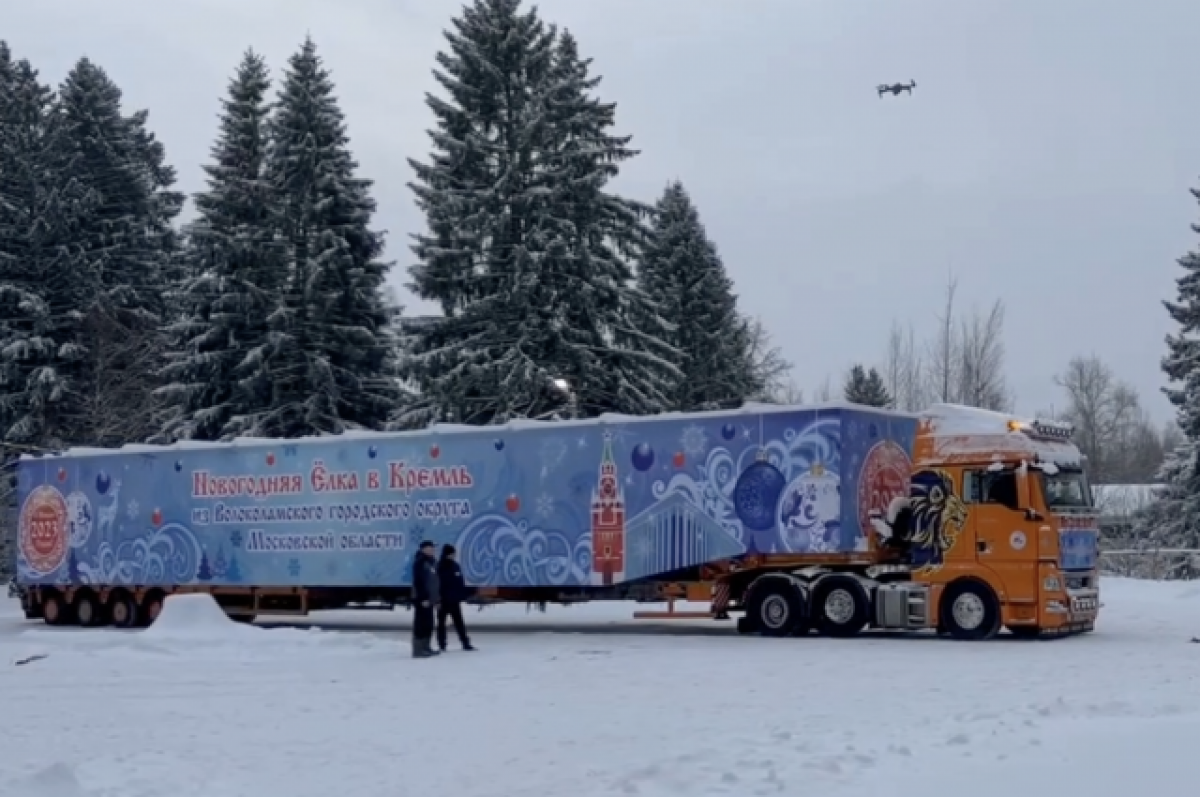 Главная новогодняя ёлка страны отправилась в Кремль из Подмосковья