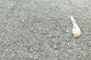 В Оренбурге чиновников обязали отремонтировать проезды на Новой
