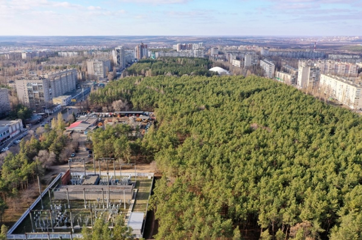 Рядом со мной воронеж. Парк Танаис Воронеж. Воронеж население дороги парки. Фото парк Танаис Воронеж с птичьего полёта. Парк Танаис Воронеж фото 2021 год.