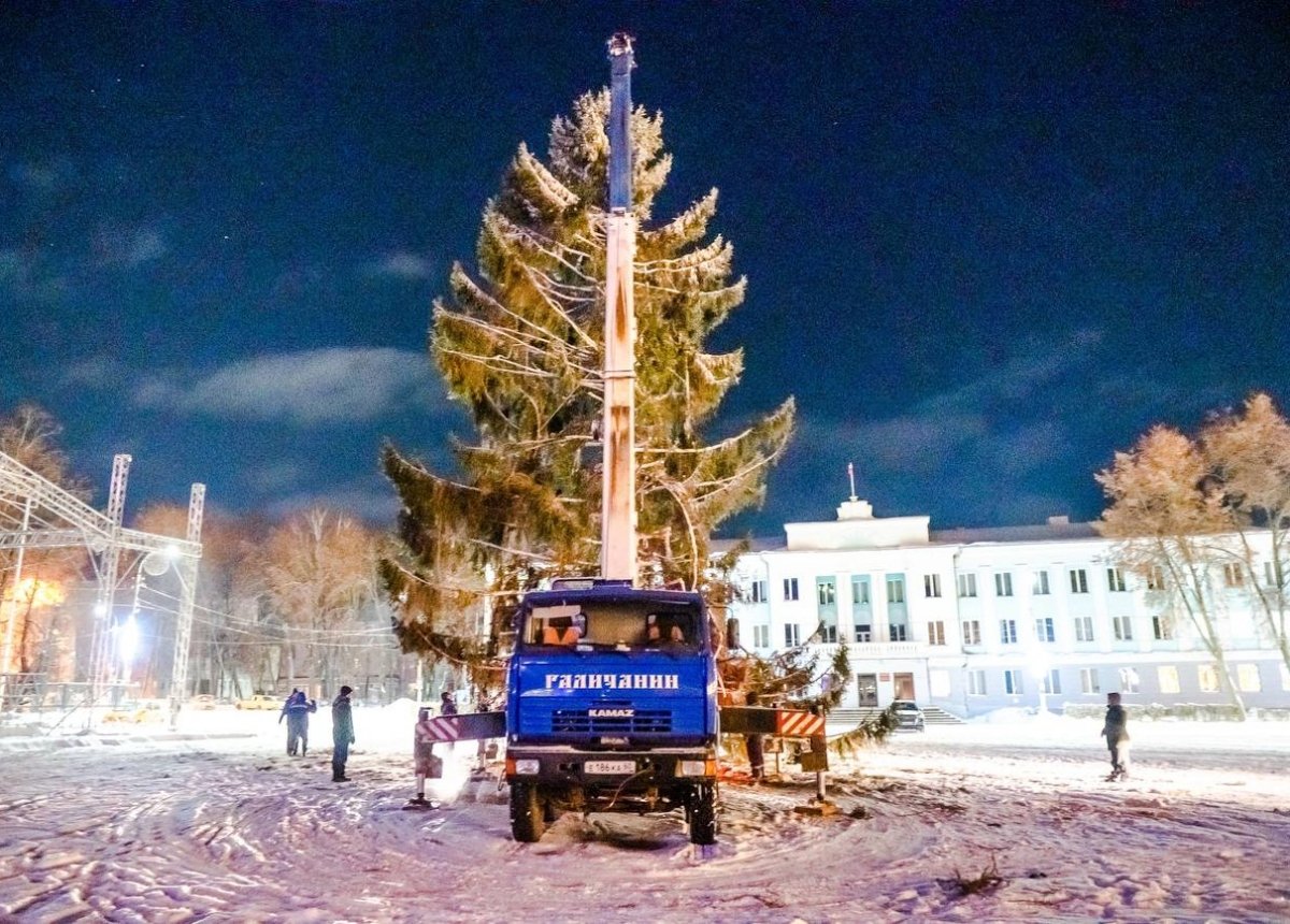 Спиленные с главной елки Великих Лук ветви прикрутят обратно | АиФ Псков