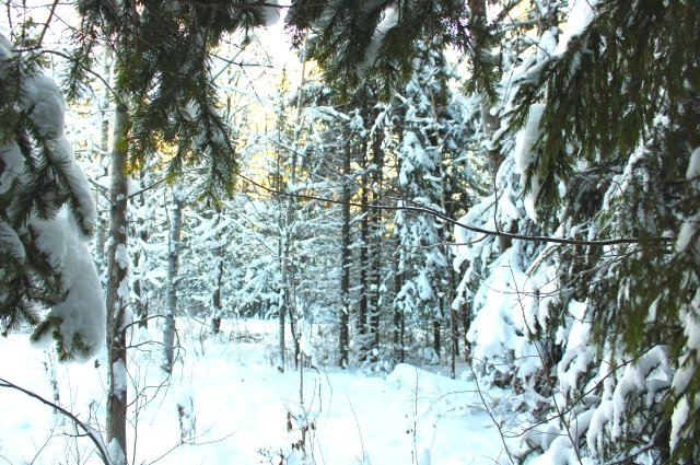 В 2022 году зимнее солнцестояние произойдет 21 декабря в 18:58 (по московскому времени).