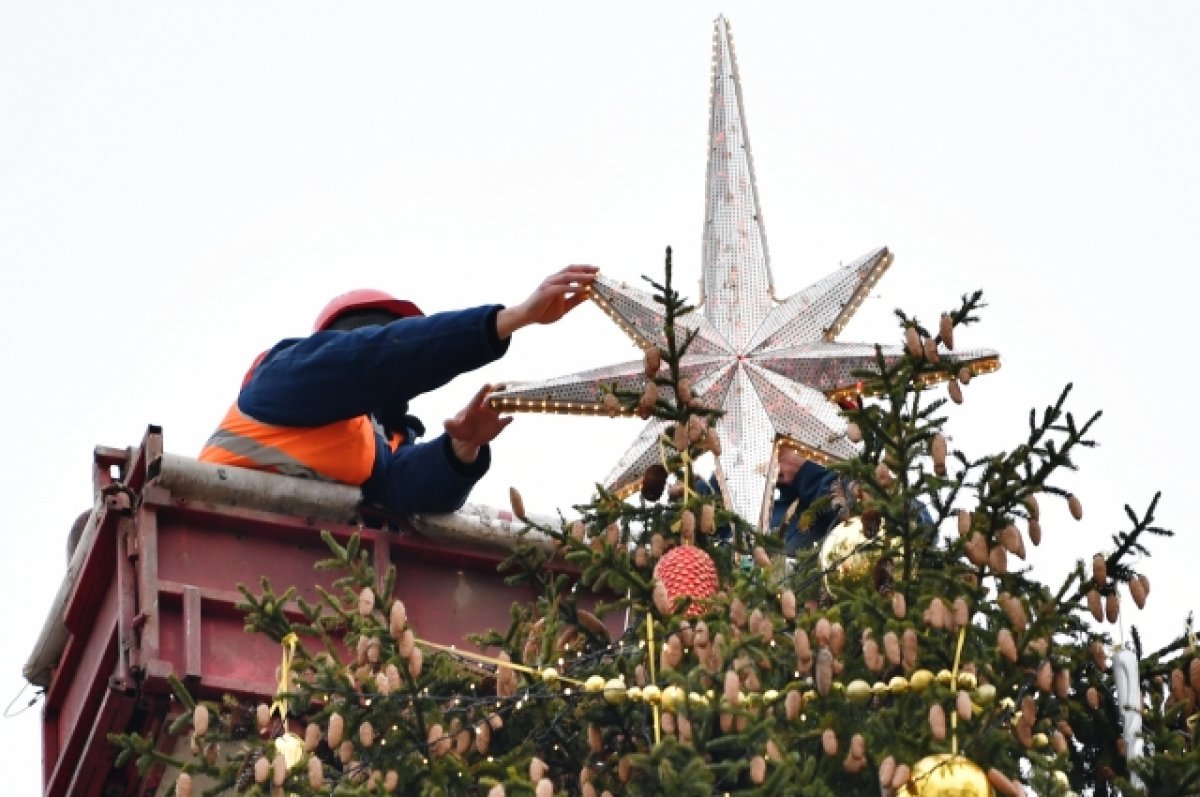 Новогоднюю елку установили в Кремле