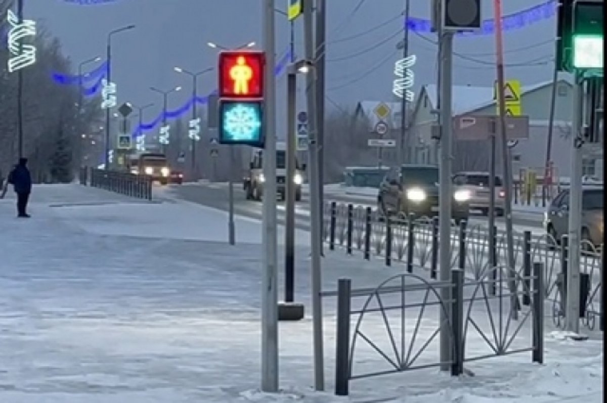 В городе ЯНАО вырубают деревья для благоустройства. Скрин