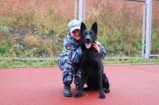 Ко мне, Цыган! Самая умная разыскная собака страны служит в Иркутске