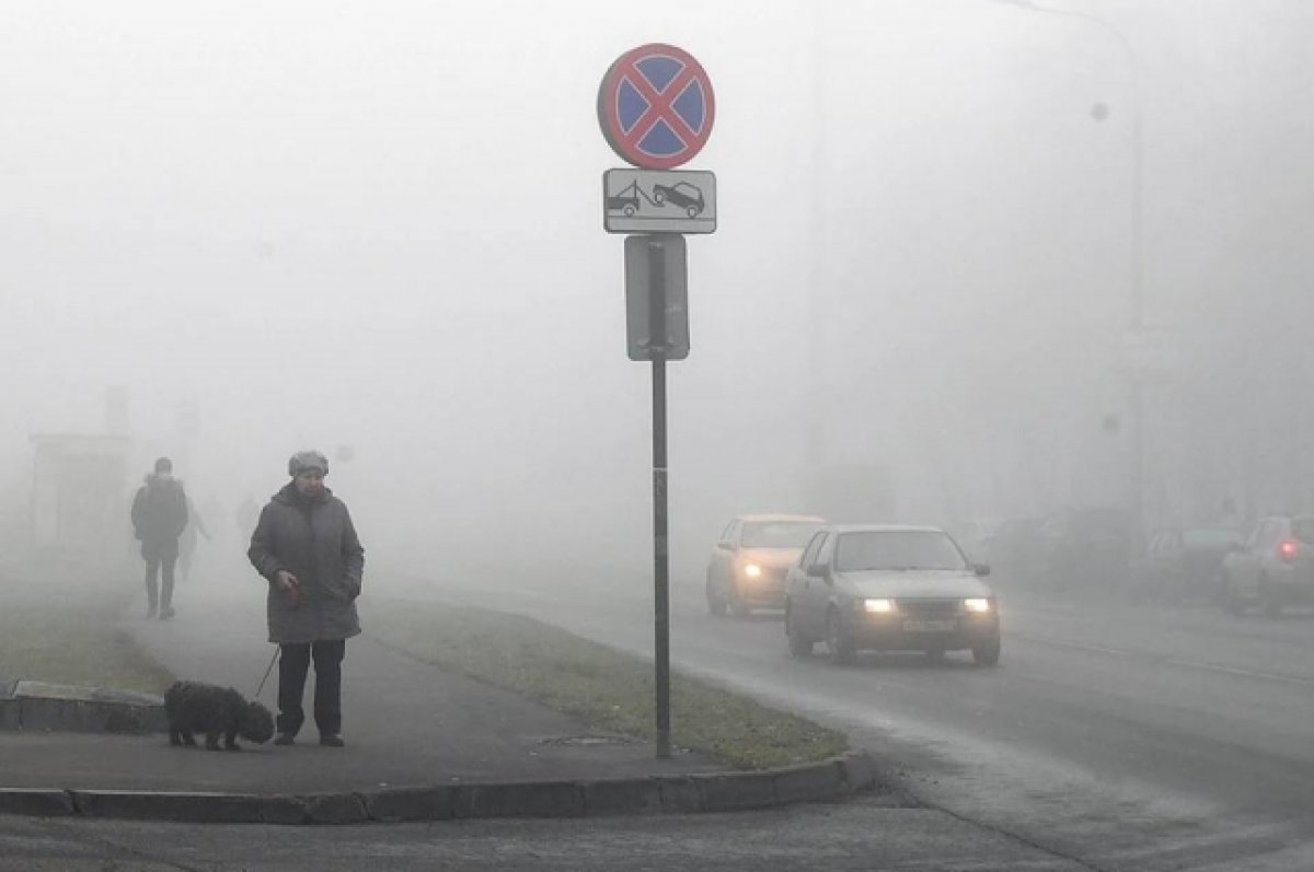 Густой туман снова накрыл дороги в Ростовской области