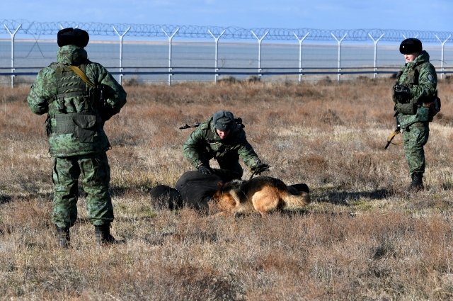 Российские пограничники дрессируют служебную собаку на задержание условного правонарушителя, незаконно пересекшего российско-украинскую границу в Крыму.