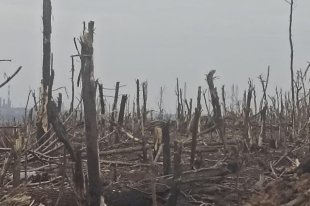 Окрестности Артёмовска (Бахмута) после боев. Донецкая народная республика, Ноябрь, 2022.