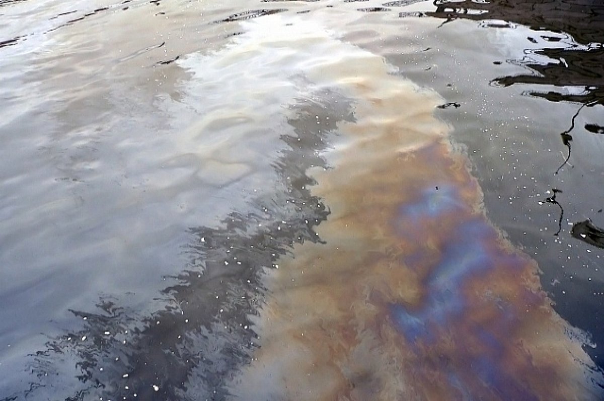 На западе Украины произошло загрязнение Днестра нефтепродуктами