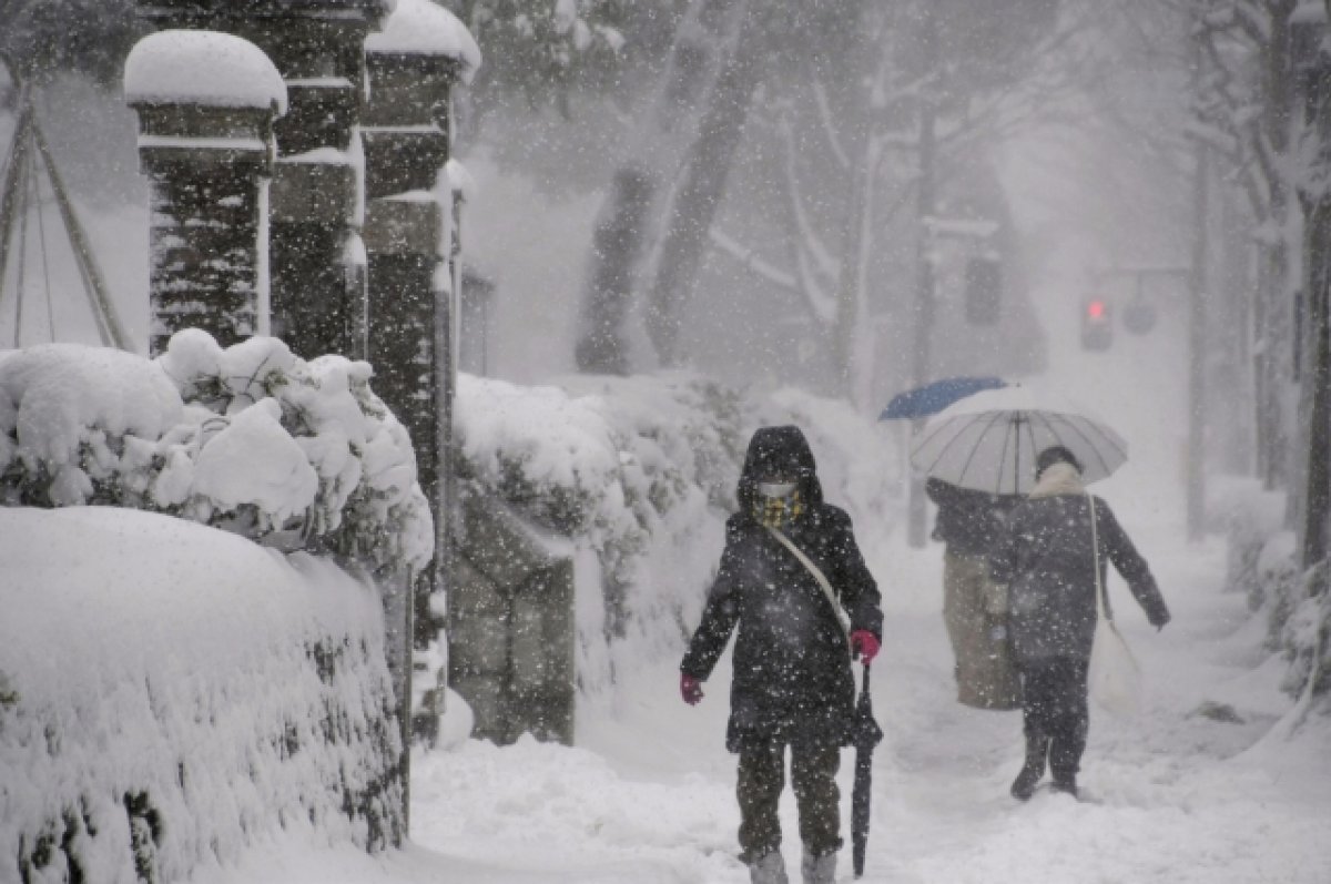 В Японии из-за сильных снегопадов погибли не менее 17 человек