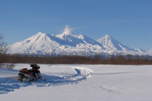 В Тазовском полицейские проводят проверку после ДТП, в котором пострадали снегоходчики.