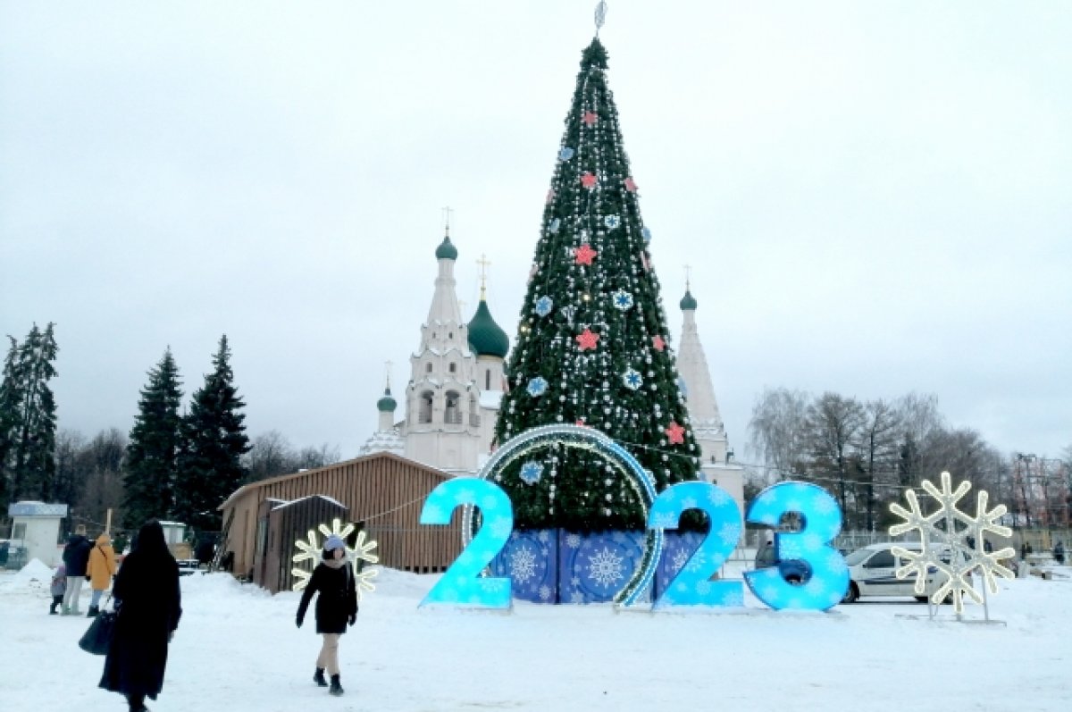 Чудеса ярославской зимы. Чем заняться в новогодние праздники?