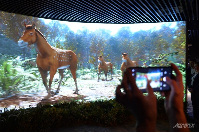 Вднх можно с собакой. Конный театр ВДНХ. Музей лошади. Музей лошади в Москве. Интерактивный музей лошади.
