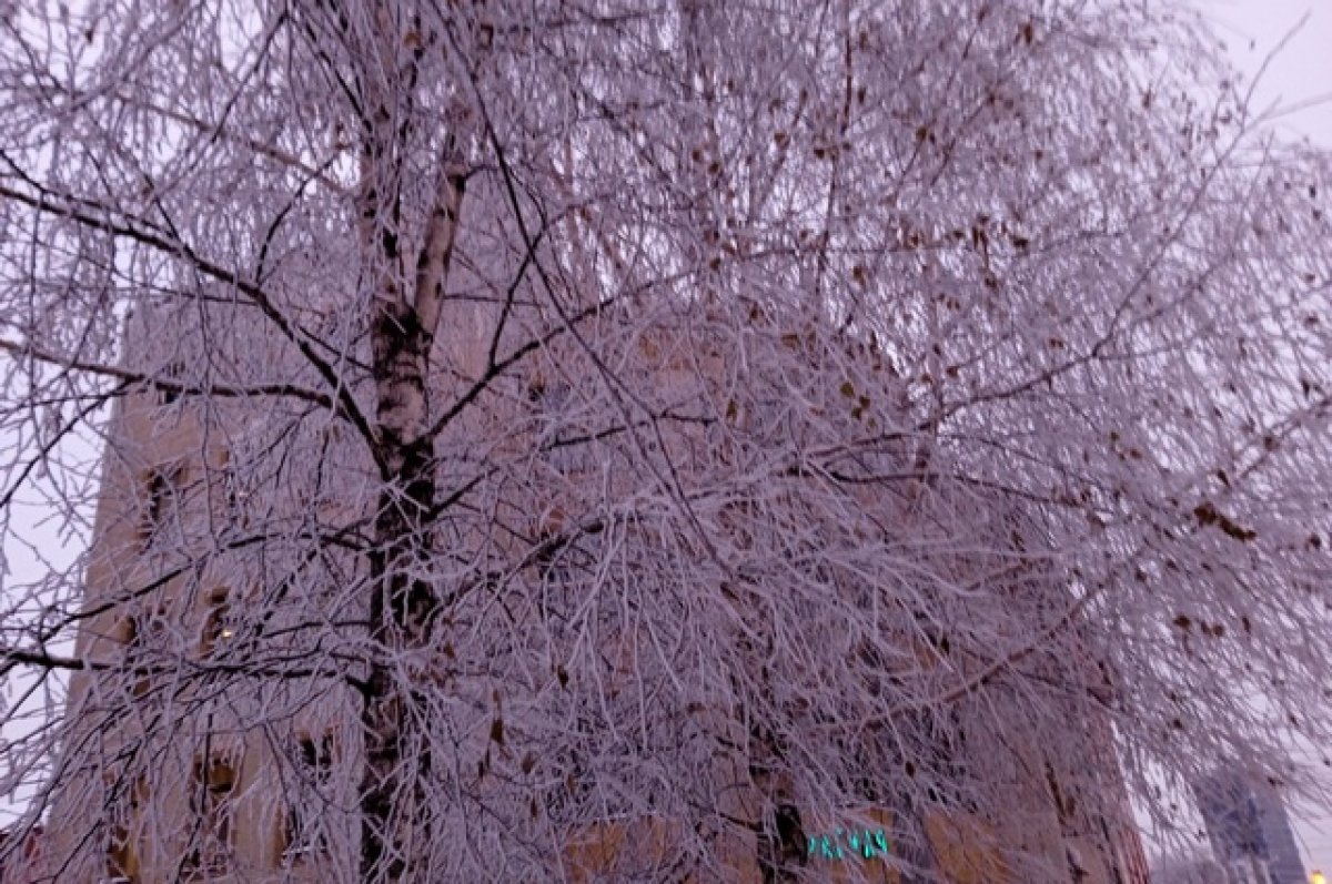 Погода в уфе на декабрь