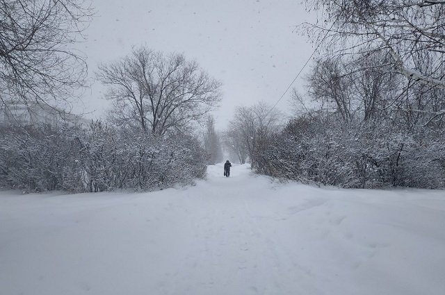 В Оренбуржье ожидается небольшой снег
