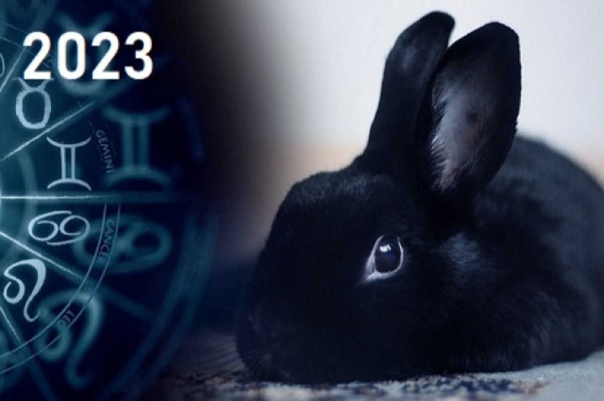 Новогодний кролик. Как безопасно организовать фотосессию с символом года |  ПРАЗДНИКИ | АиФ Иркутск