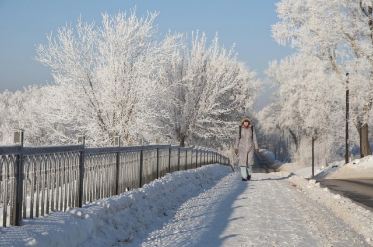 Какую ждем зиму. Зимняя погода. Жду зимы фото. Теплый январь. Морозы снегопады в Свердловской области.