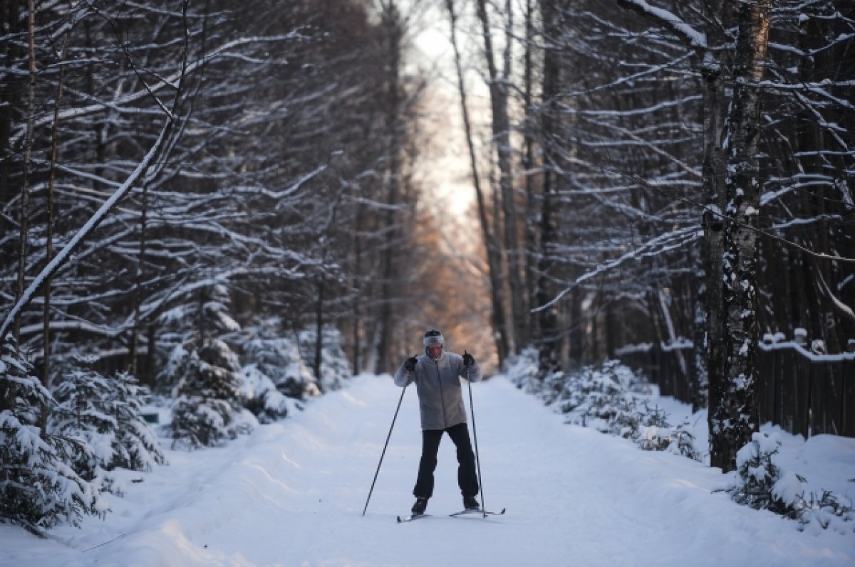 Даёшь лыжню? Где в Москве побегать на лыжах