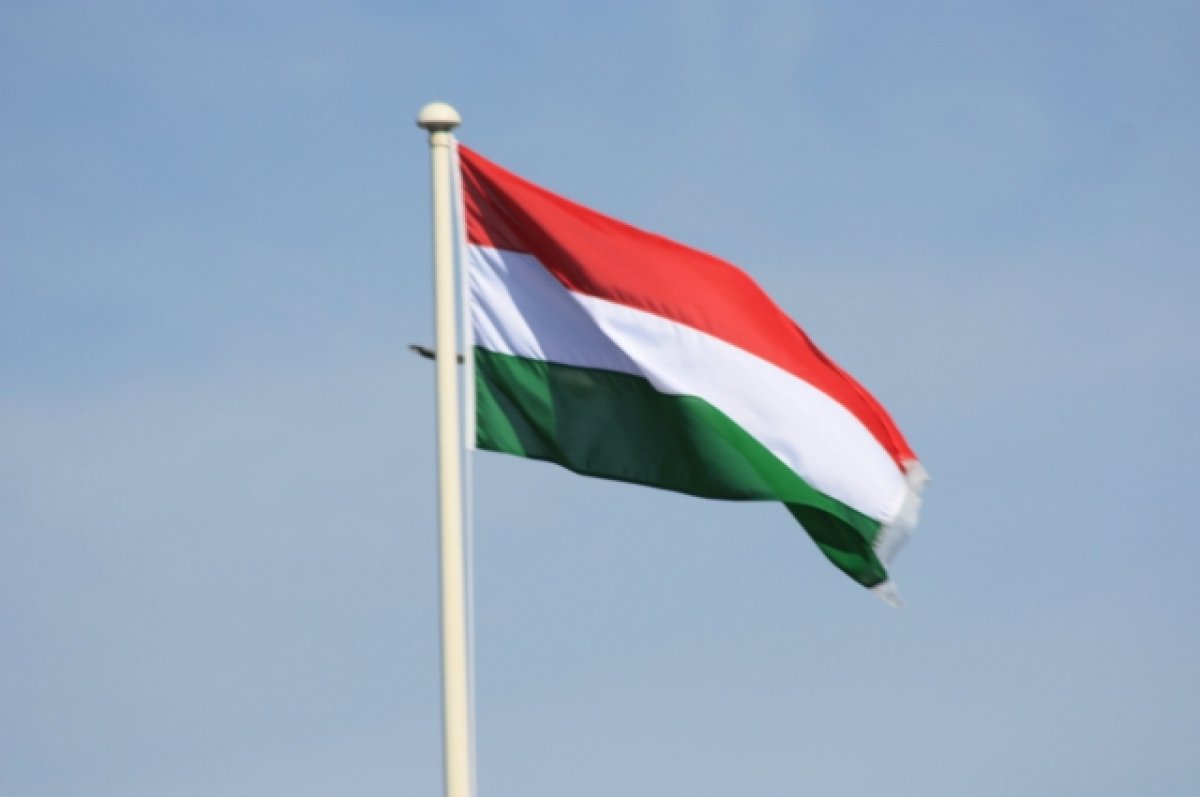В Венгрии заявили, что ЕП страдает от дефицита демократии и легитимности