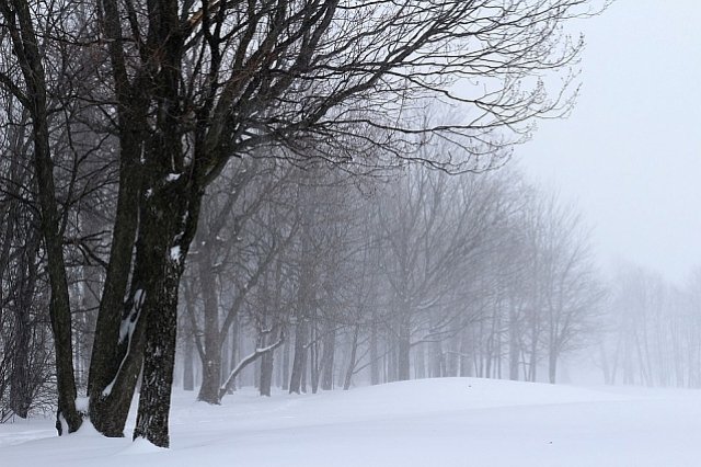2 января в Оренбуржье ожидается метель и усиление ветра.