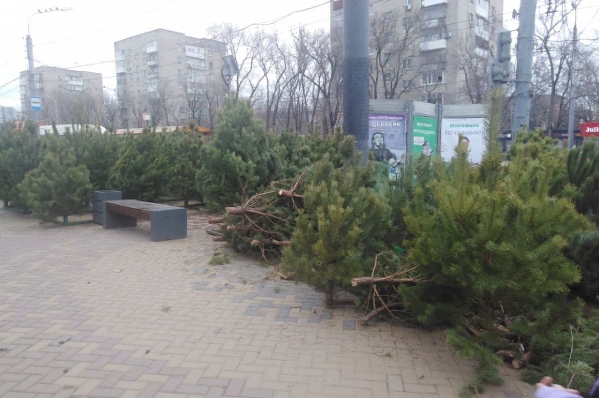 В Ростове-на-Дону вывоз мусора в праздники взяли на особый контроль