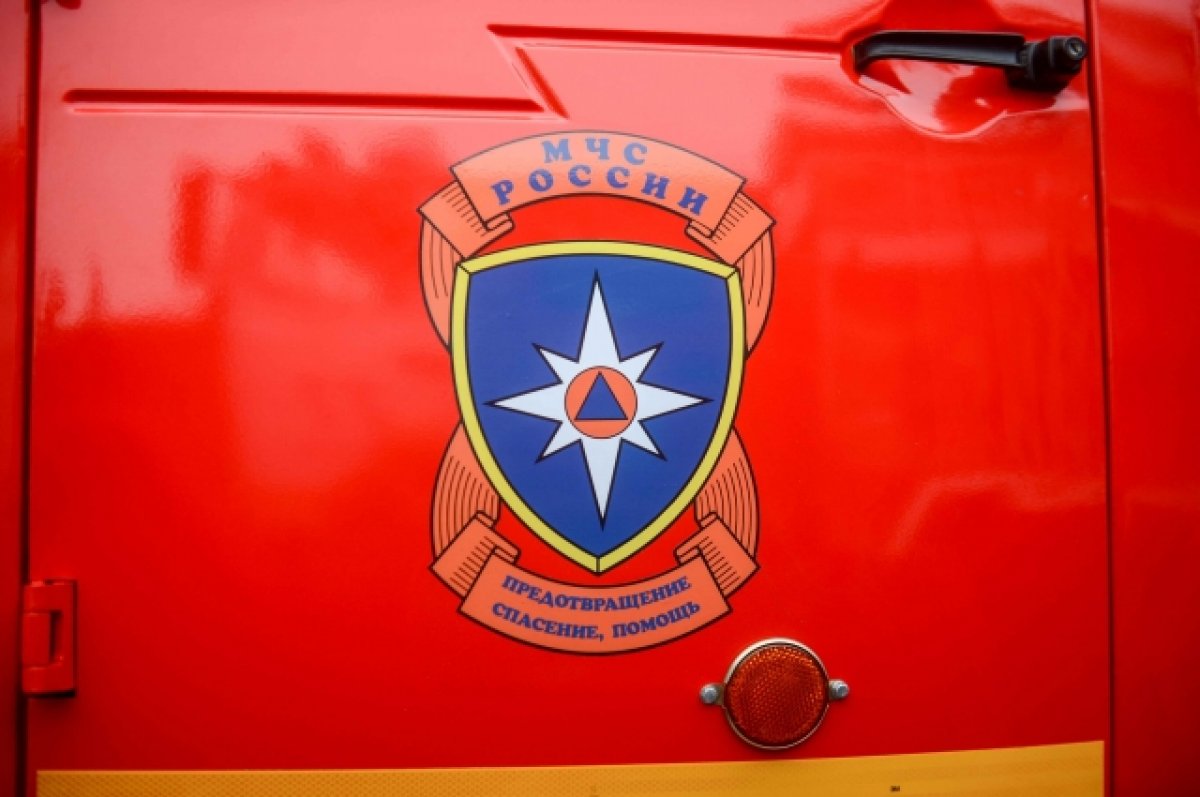 МЧС предложило усилить защиту школ и больниц в РФ от пожаров