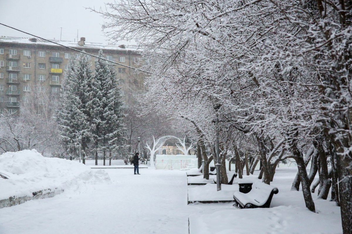 30-градусные морозы ожидаются в Москве на Рождество