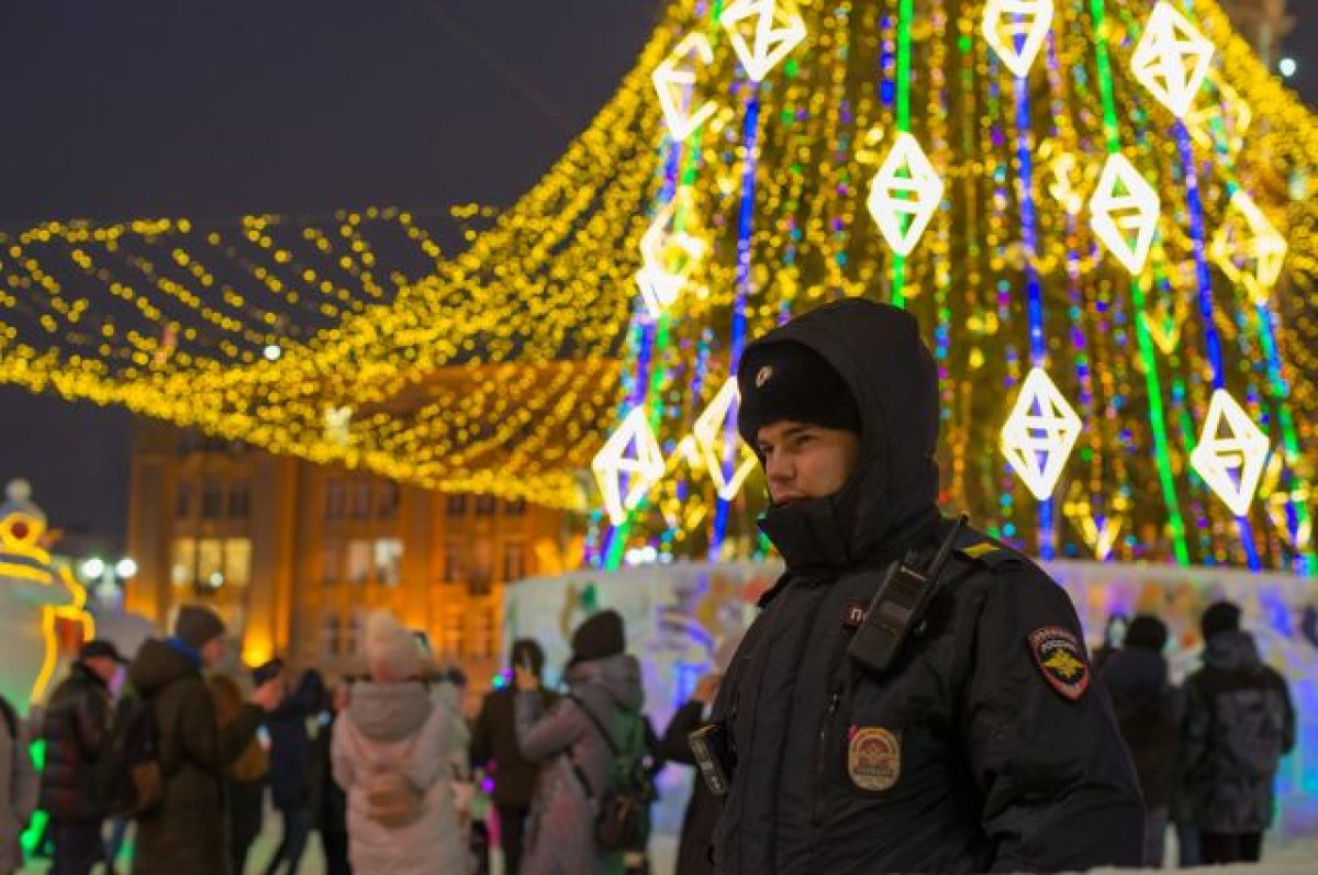 Двух жителей Астрахани заподозрили в краже «Новогоднего оленя»