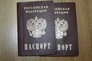 Количество иностранцев, получивших гражданство РФ, снизилось