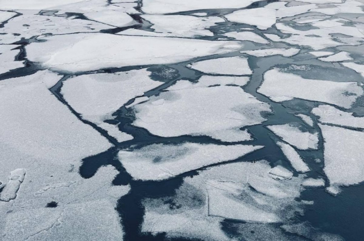 В Саратовской области откололась льдина с 13 рыбаками