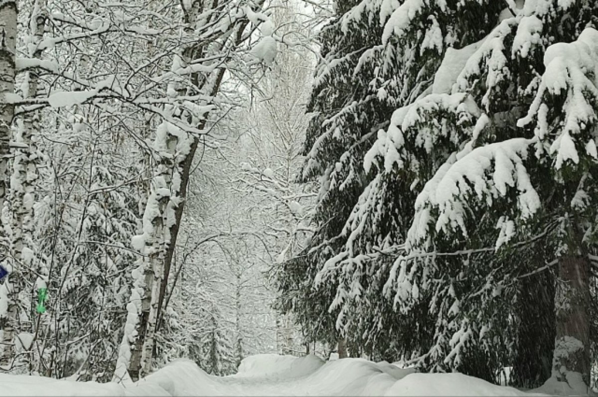 На Алтае природа «накатала» причудливые снежные рулоны