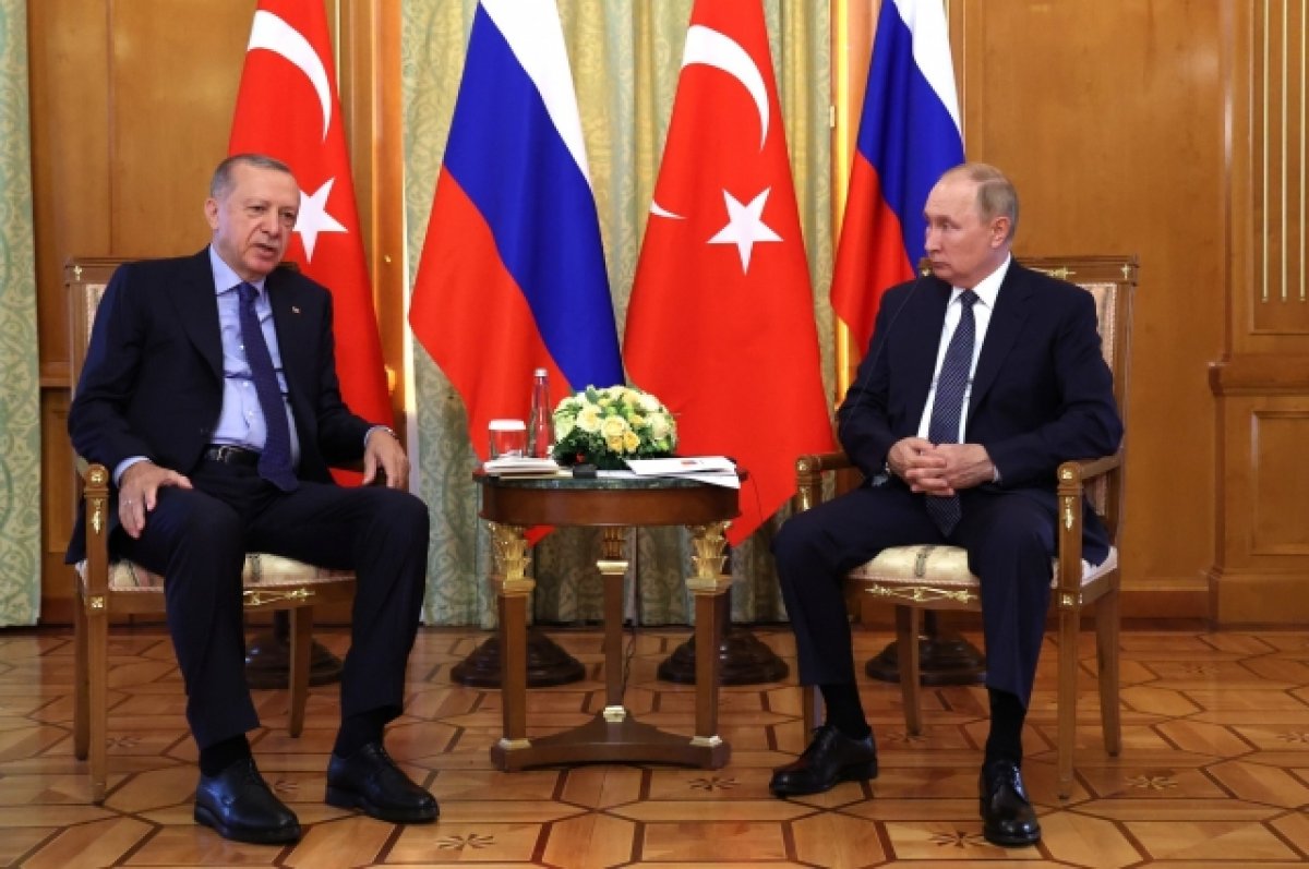 Эрдоган настроен вместе с Путиным обеспечить продовольствием бедные страны