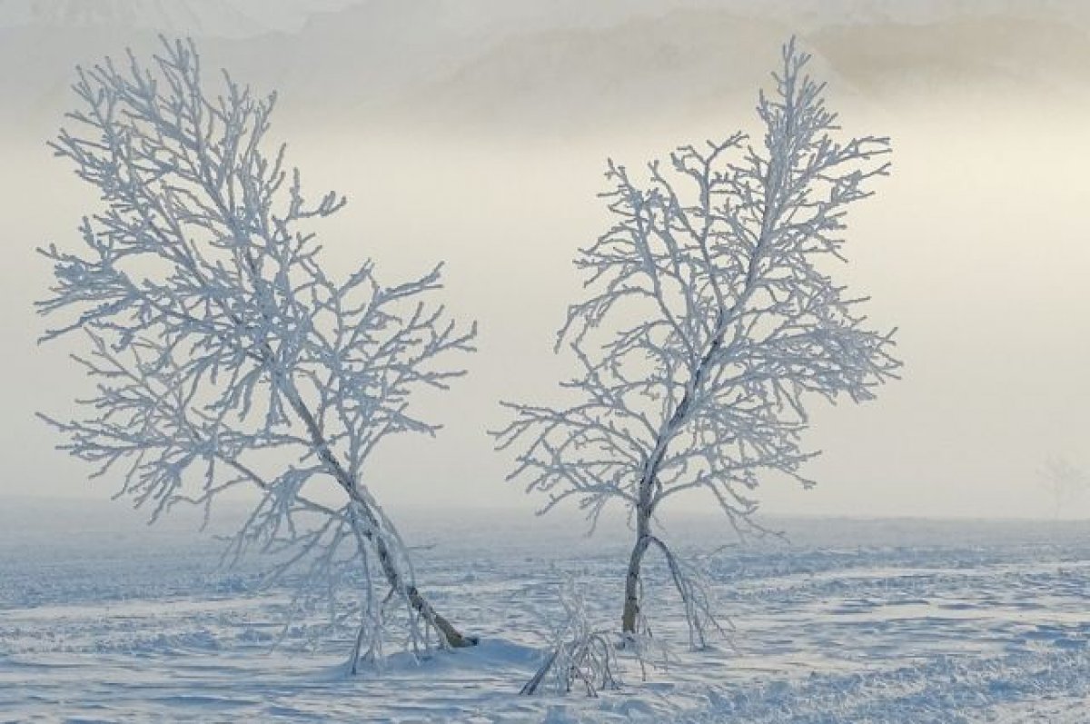 Жителей Поволжья и юга западной Сибири предупредили о морозах до минус 40