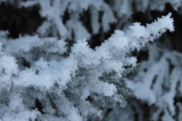 В Оренбуржье два человека замёрзли насмерть во время морозов